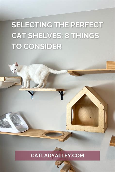 renter friendly cat shelves|Cat shelves (rental friendly) : r/CatAdvice